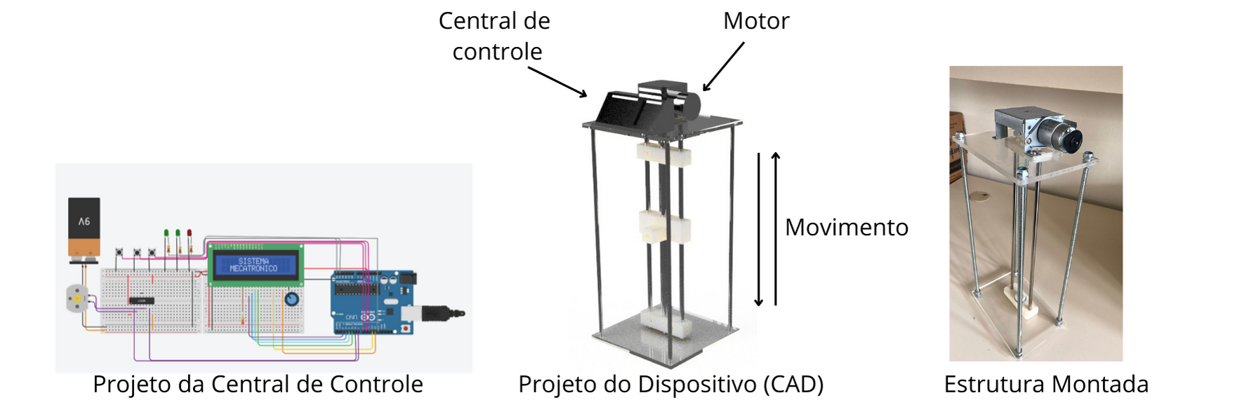 Projeto 2021